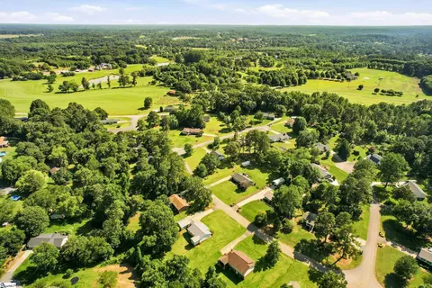 View/Area - 100 Elm Ct, Easley, SC 29642 photo 6 of 7