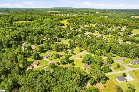 View/Area - 100 Elm Ct, Easley, SC 29642 photo 4 of 7