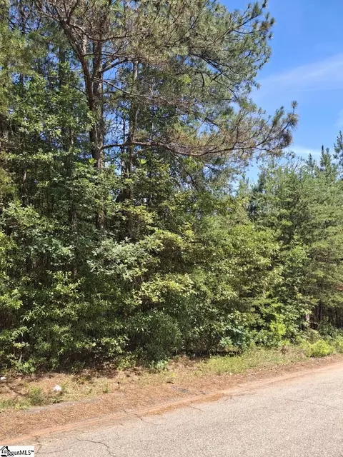 302 Walnut Dr, Pickens, SC 29671 photo 3