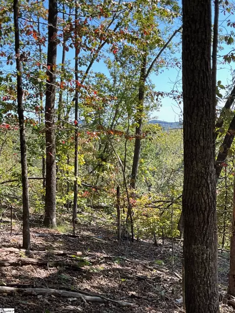 lot31 Highridge Pkwy, Marietta, SC 29661