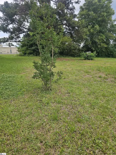201203 Dillon Dr, Clinton, SC 29325