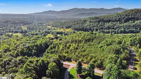 View/Area - 2554 Deep Gap Farm Rd, Mill Spring, NC 28756 photo 1 of 3