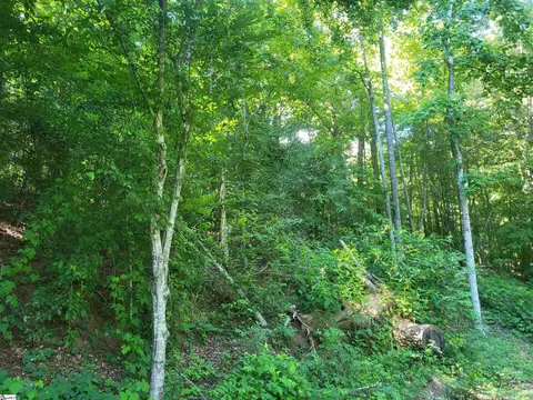 00 Hidden Valley Rd, Marietta, SC 29661