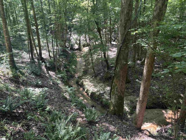 Old Calhoun Falls Road, Abbeville, SC 29620