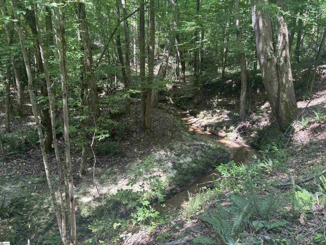 Old Calhoun Falls Road, Abbeville, SC 29620