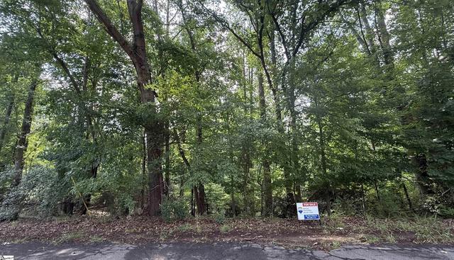 lot24 Mountain View Dr, Central, SC 29630