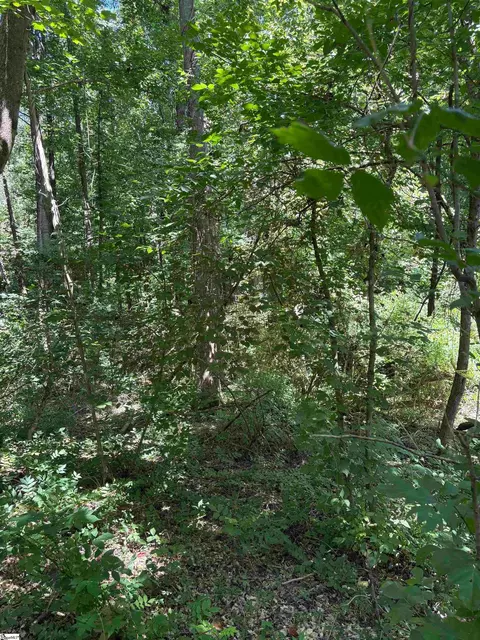 45 Emily Ln, Piedmont, SC 29673