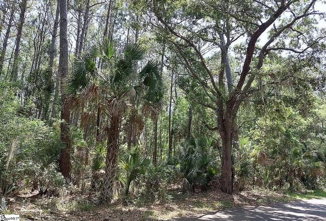12 Sweetgrass Ln, Kiawah Island, SC 29455