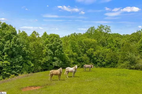 Other - 5230 Olden Porter Rd, Pendleton, SC 29670 photo 13 of 16