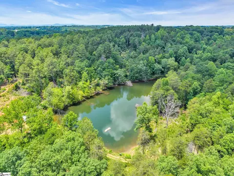0 Bridge View Rd, Chesnee, SC 29323 photo 10