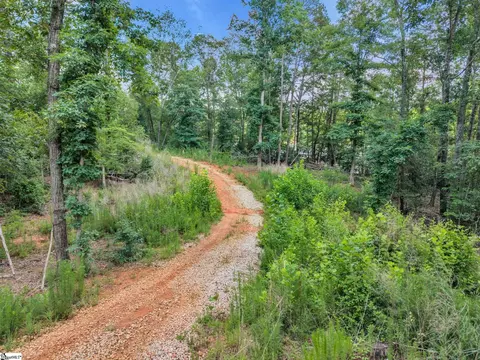 0 Bridge View Rd, Chesnee, SC 29323 photo 5
