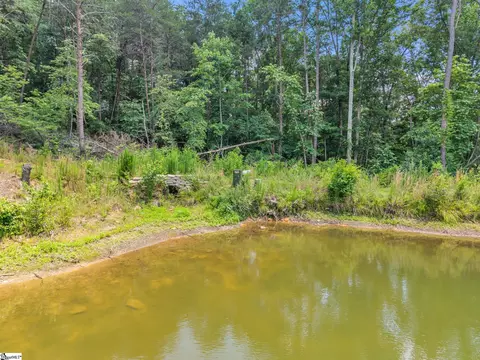 0 Bridge View Rd, Chesnee, SC 29323 photo 20