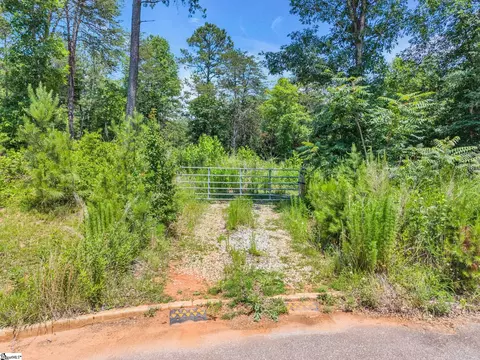 0 Bridge View Rd, Chesnee, SC 29323 photo 22