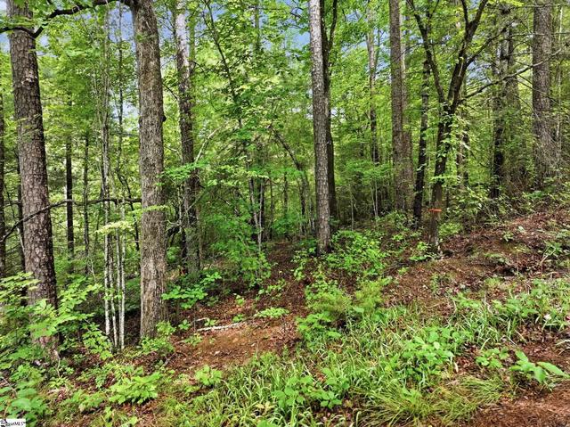 231 Cherokee Hills Dr, Pickens, SC 29671