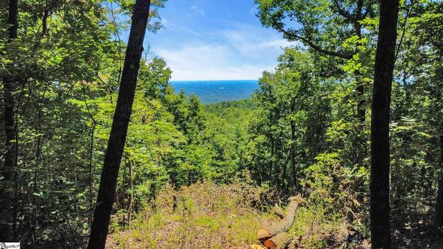 1325 Altamont Rd, Greenville, SC 29609