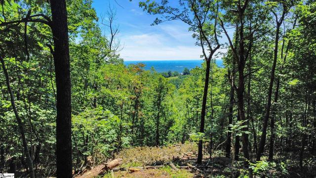 1329 Altamont Rd, Greenville, SC 29609