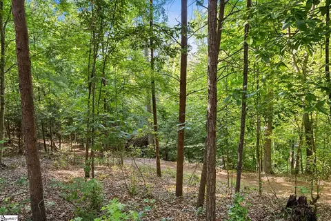 75 Hidden Acres Trl, Pelzer, SC 29669 photo 13