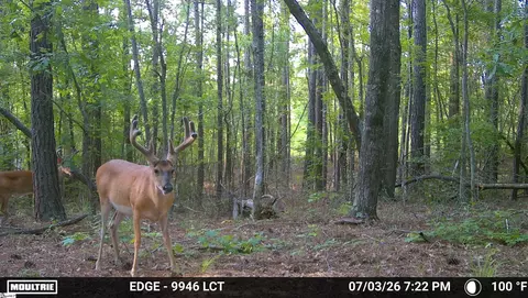 238 Cold Springs Rd, Modoc, SC 29838 photo 7