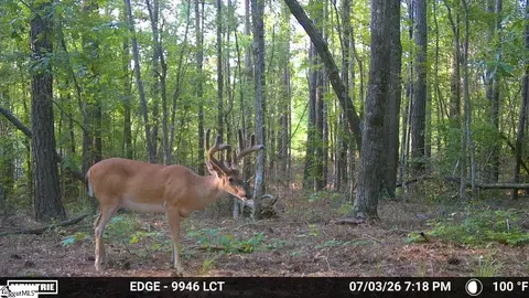 238 Cold Springs Rd, Modoc, SC 29838 photo 2
