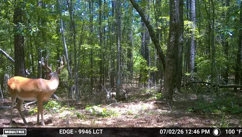 238 Cold Springs Rd, Modoc, SC 29838 photo 12