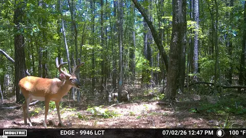 238 Cold Springs Rd, Modoc, SC 29838 photo 18