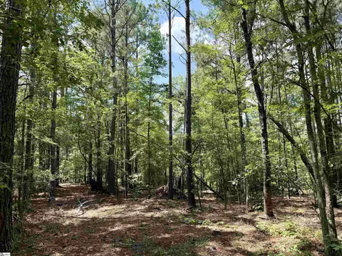 238 Cold Springs Rd, Modoc, SC 29838 photo 14