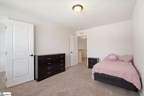 Other - 309 Bellerive Dr, Duncan, SC 29334 photo 5 of 8