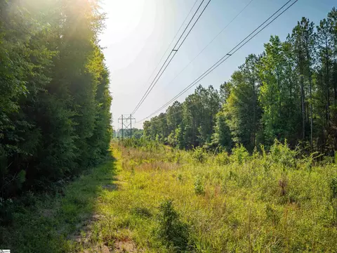 1332 Arnold Ln, Waterloo, SC 29384 photo 21
