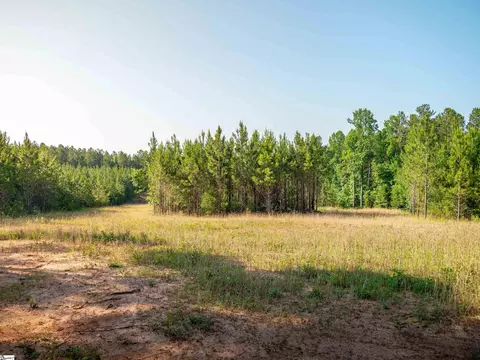 1332 Arnold Ln, Waterloo, SC 29384 photo 30