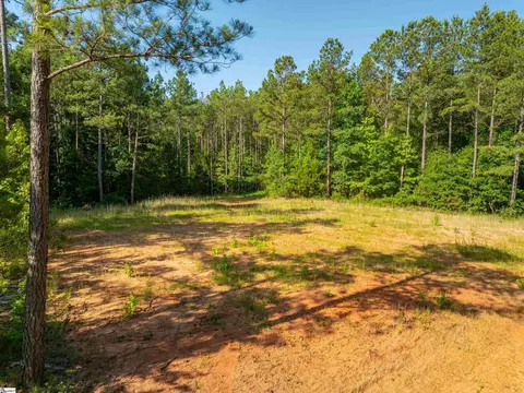 1332 Arnold Ln, Waterloo, SC 29384 photo 40