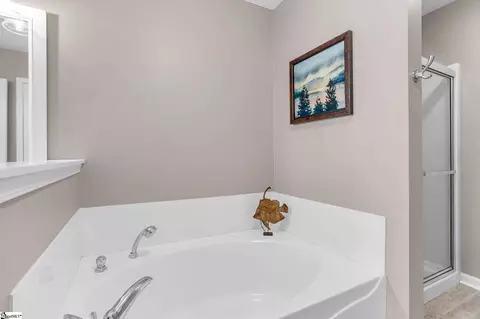33 River Birch Way, Greer, SC 29650 photo 25