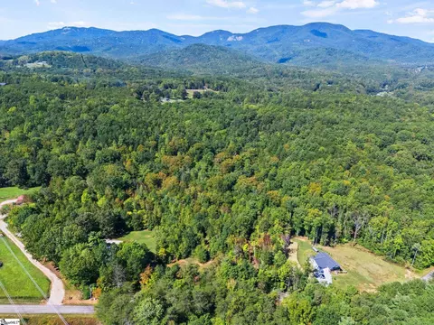 313 Arledge Rd, Landrum, SC 29356 photo 9
