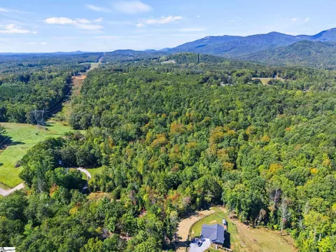 313 Arledge Rd, Landrum, SC 29356 photo 6