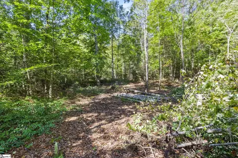 313 Arledge Rd, Landrum, SC 29356 photo 21