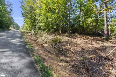 313 Arledge Rd, Landrum, SC 29356 photo 2