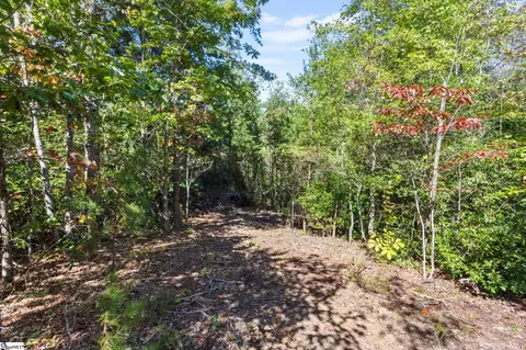 313 Arledge Rd, Landrum, SC 29356 photo 16