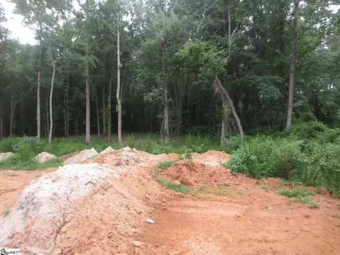 140 Rickys Path, Easley, SC 29642 photo 14