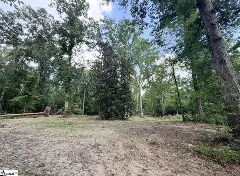 0 Lee St, Johnston, SC 29832 photo 9