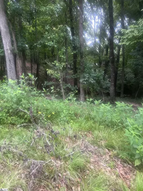 00 S Arrowhead Dr, Westminster, SC 29693 photo 25
