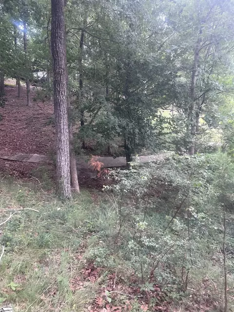 00 S Arrowhead Dr, Westminster, SC 29693 photo 13