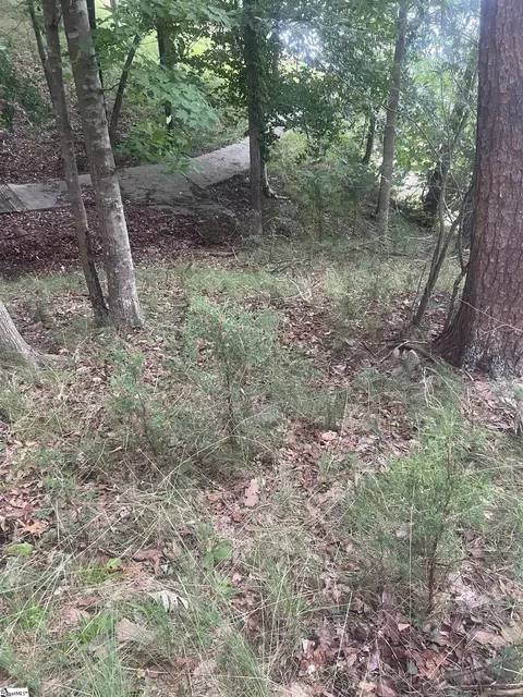00 S Arrowhead Dr, Westminster, SC 29693 photo 15