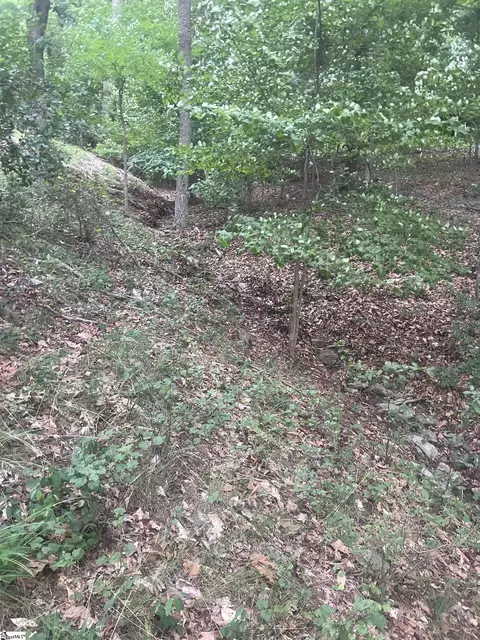 00 S Arrowhead Dr, Westminster, SC 29693 photo 20