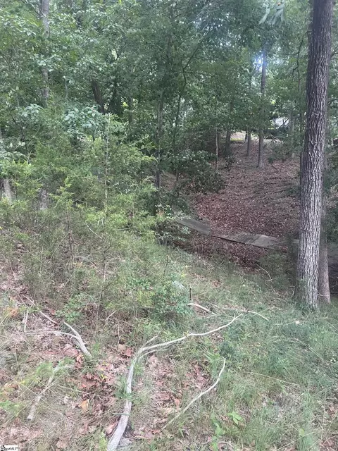 00 S Arrowhead Dr, Westminster, SC 29693 photo 14