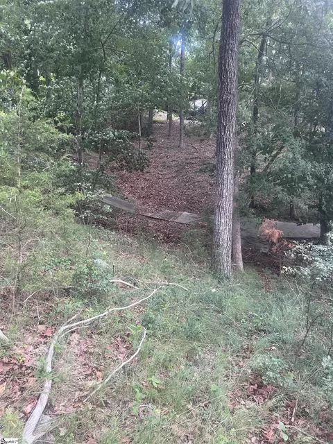 00 S Arrowhead Dr, Westminster, SC 29693 photo 12