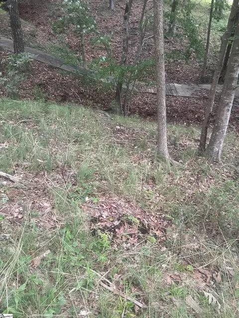 00 S Arrowhead Dr, Westminster, SC 29693 photo 16