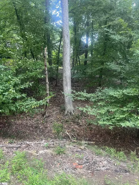 00 S Arrowhead Dr, Westminster, SC 29693 photo 10