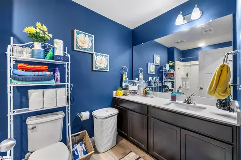 Bath - 114 Pine Hollow Pl, Easley, SC 29642 photo 1 of 1