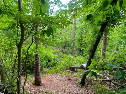341 E Church Rd, Easley, SC 29642 photo 7