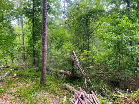 341 E Church Rd, Easley, SC 29642 photo 6
