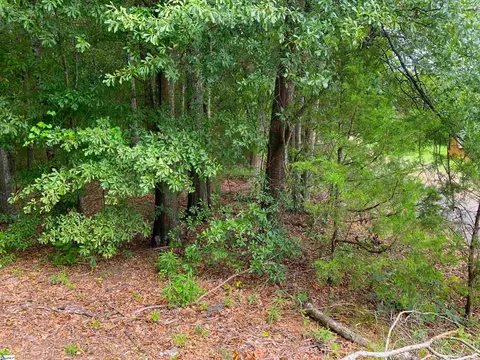 341 E Church Rd, Easley, SC 29642 photo 14